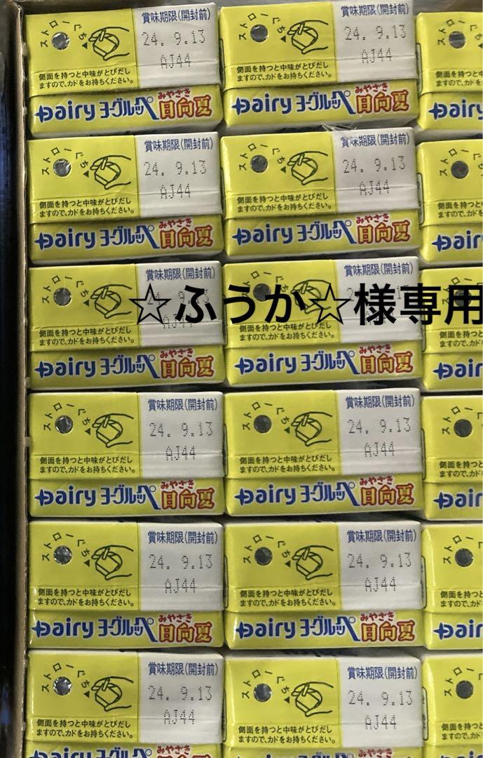 ヨーグルッペ　日向夏5ケース