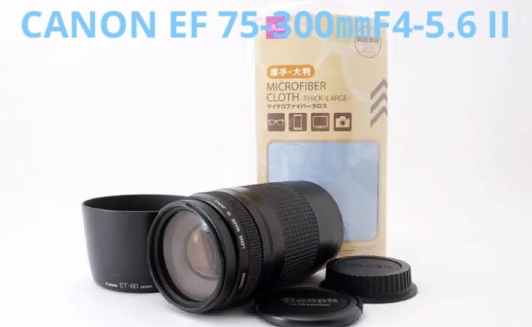 望遠レンズ    フード付き. キャノン CANON EF 75-300㎜