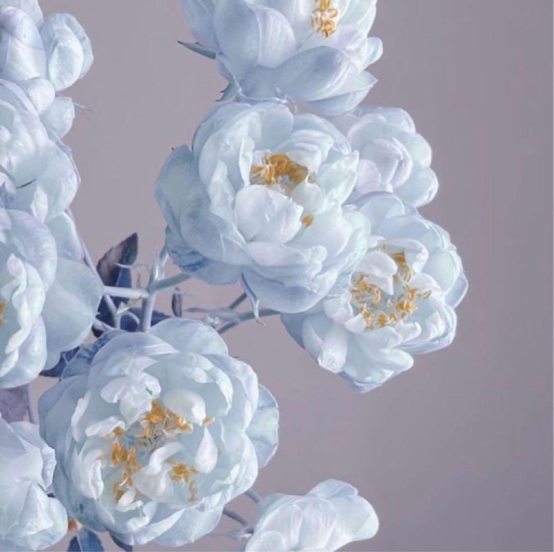 よめつかスカジャンブラック