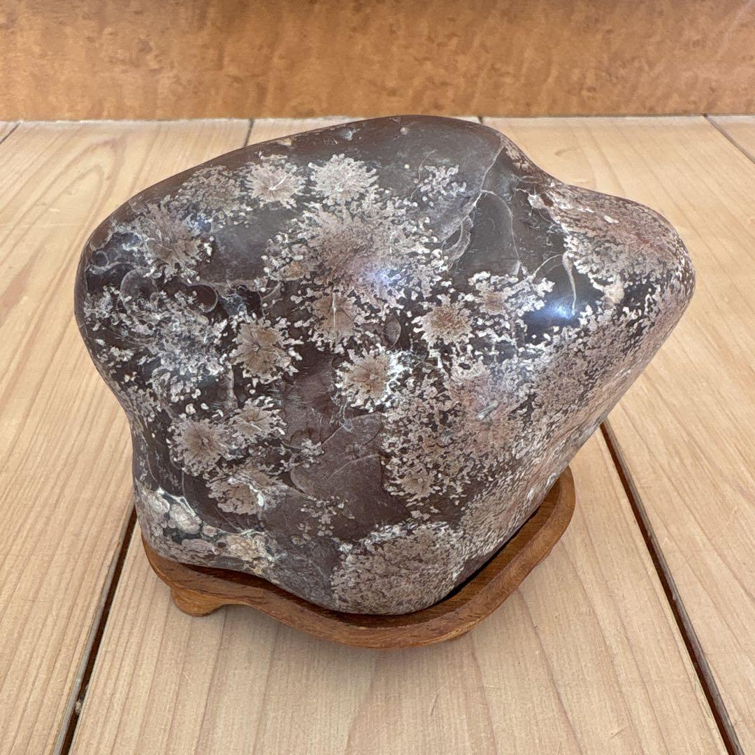 飛騨・菊紋石・菊花石　花梨台付き