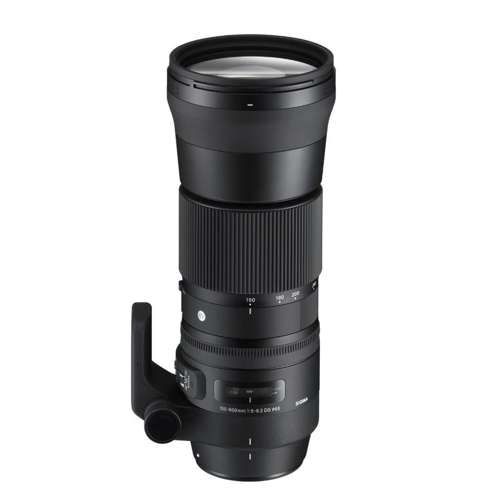 SIGMA 150-600mm contemporary NIKON Fマウント