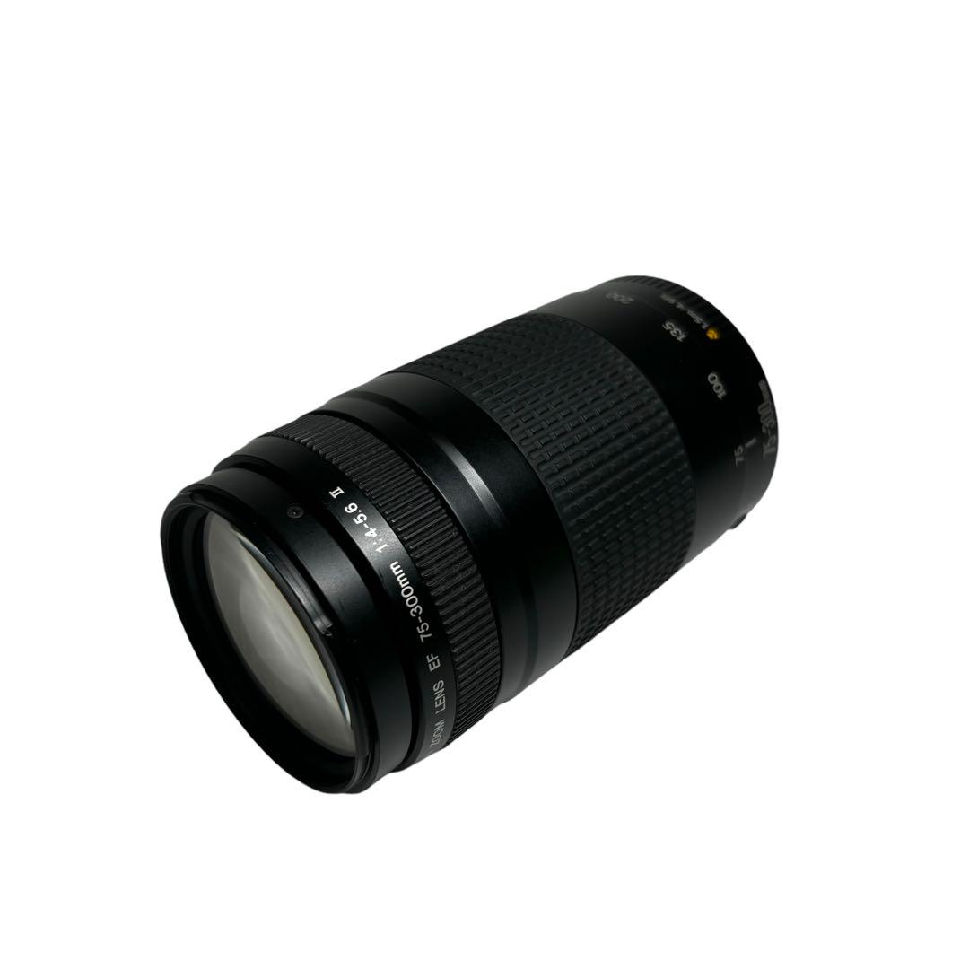 Canon EF 75-300mm 4-5.6 Ⅱ