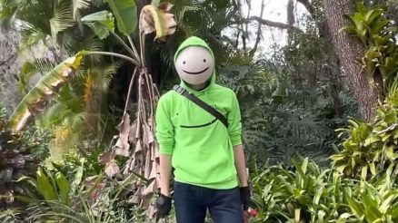 Dream Irl