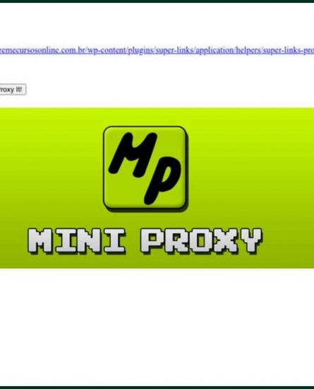 MiniProxy