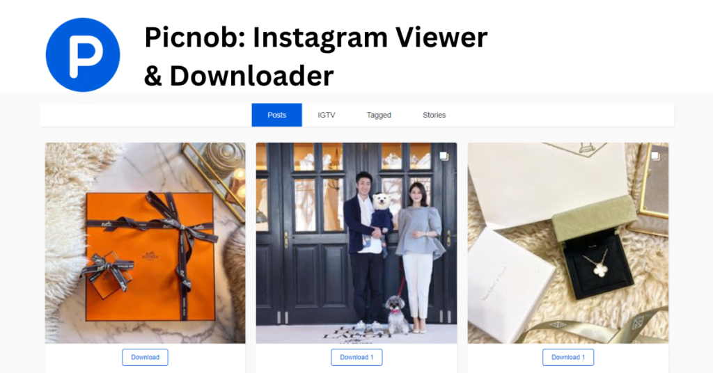 picnob instagram viewer and downloader