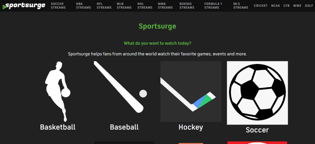 Sportsurge