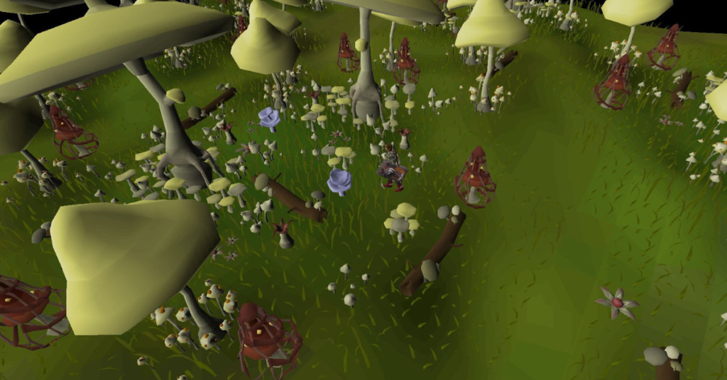 How to Reach Fossil Island In OSRS