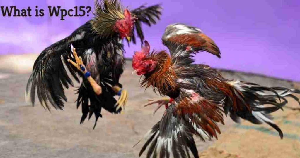 game fowls breed 1 11zon Wpc15